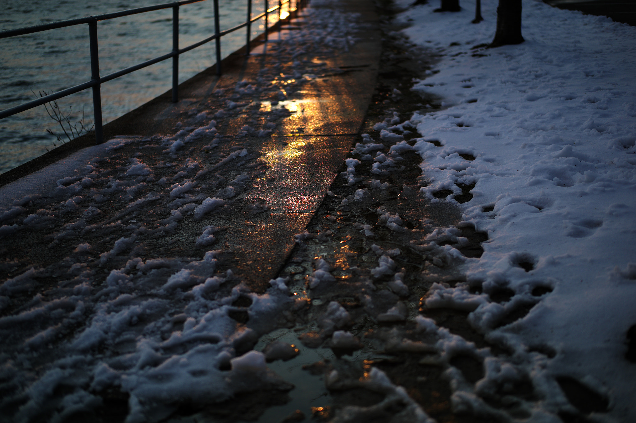 Leica M9 + Leica Summilux-M 50mm F1.4 ASPH sample photo. Potomac sunshine photography