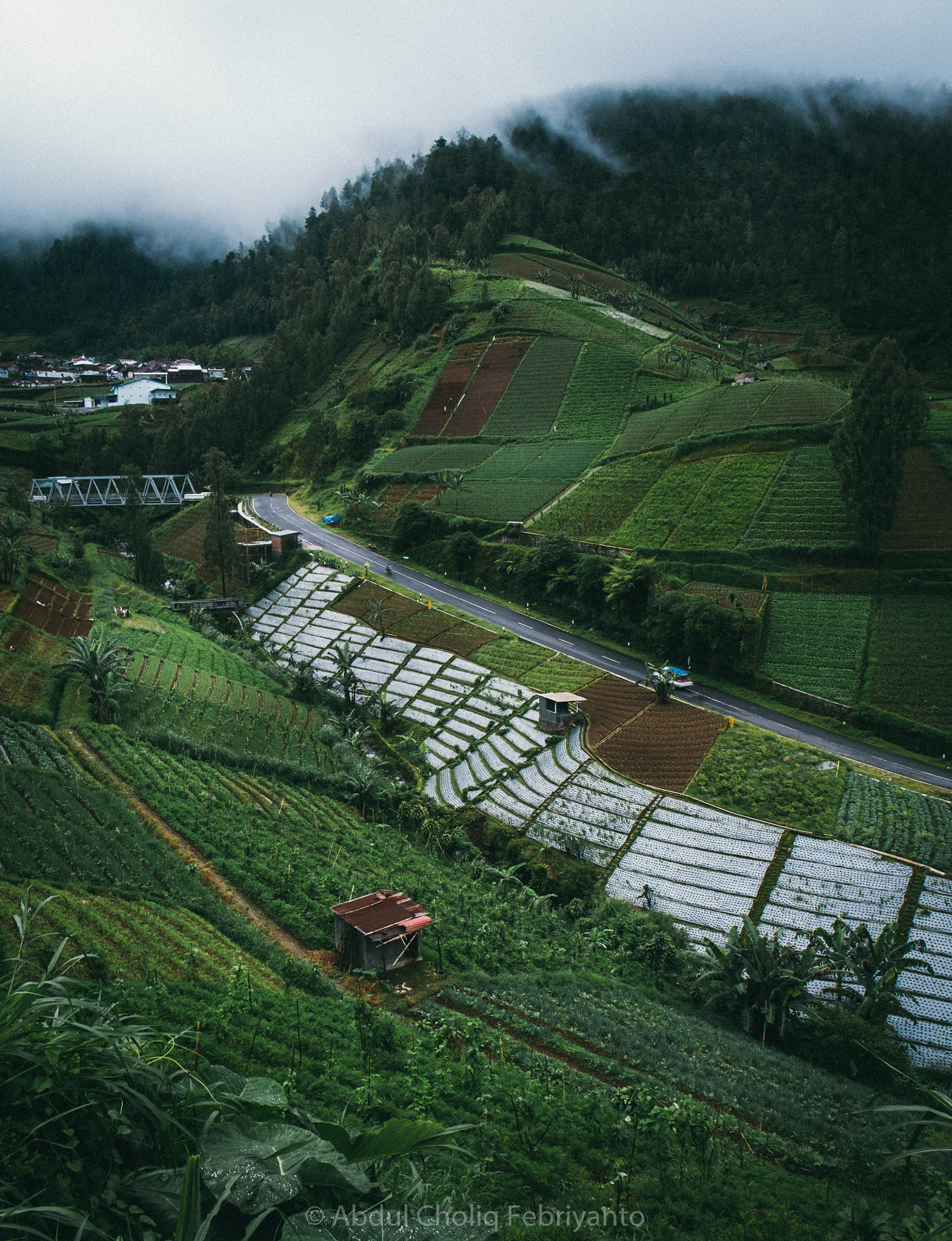 Fujifilm X-E1 + Fujifilm XF 18-55mm F2.8-4 R LM OIS sample photo. Foggy morning photography