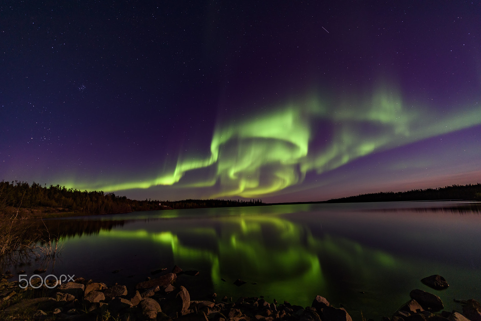 Nikon D810 sample photo. Curls of aurora photography