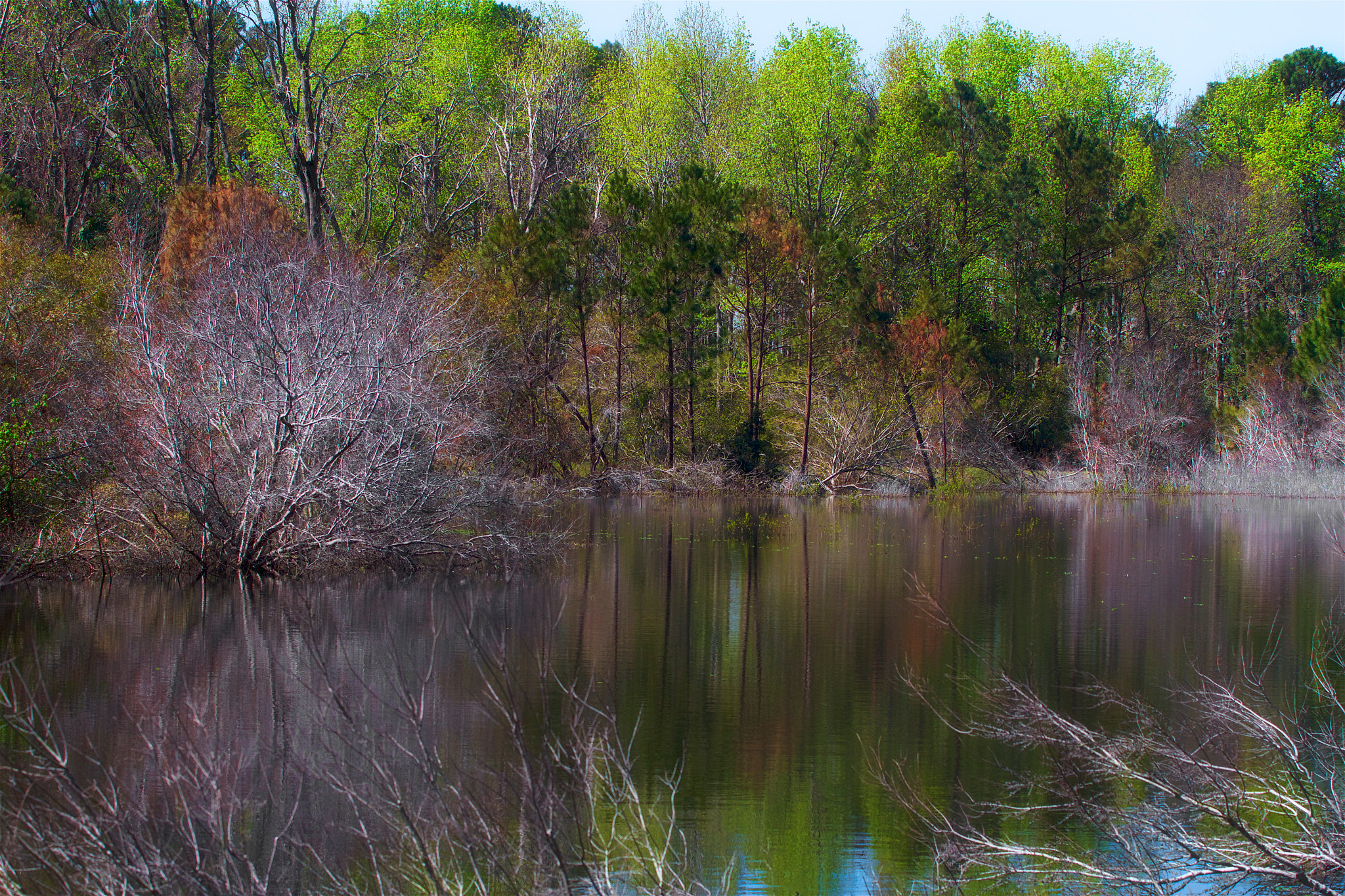 Canon EF 70-300mm F4-5.6L IS USM sample photo. Spring marshland photography