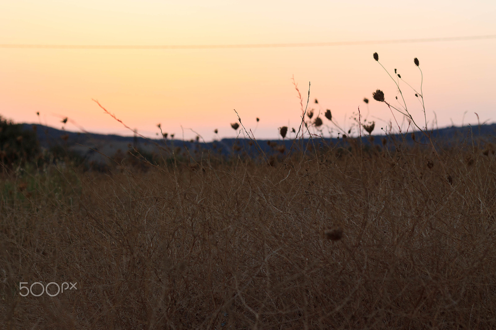 Canon EOS 1100D (EOS Rebel T3 / EOS Kiss X50) sample photo. Τραχύ photography