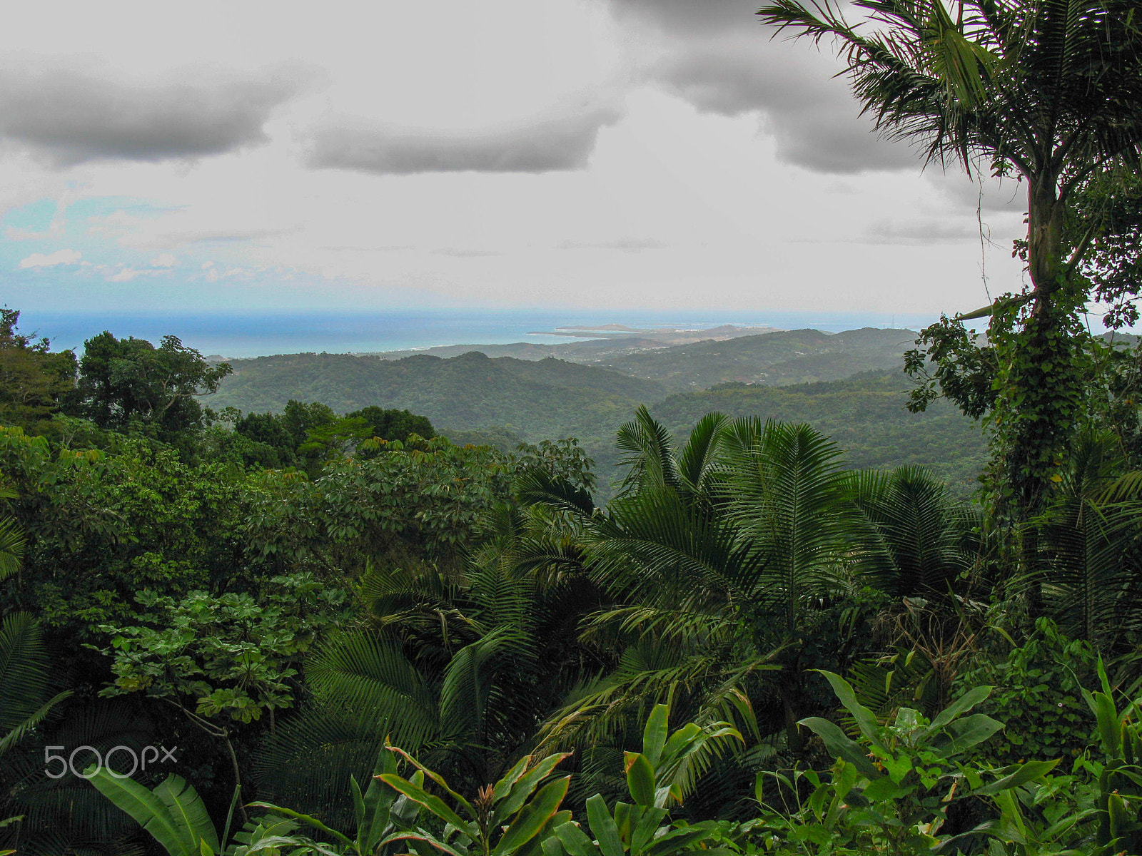 Canon POWERSHOT G7 sample photo. Rumble in the jungle: jamaica, north coast. photography