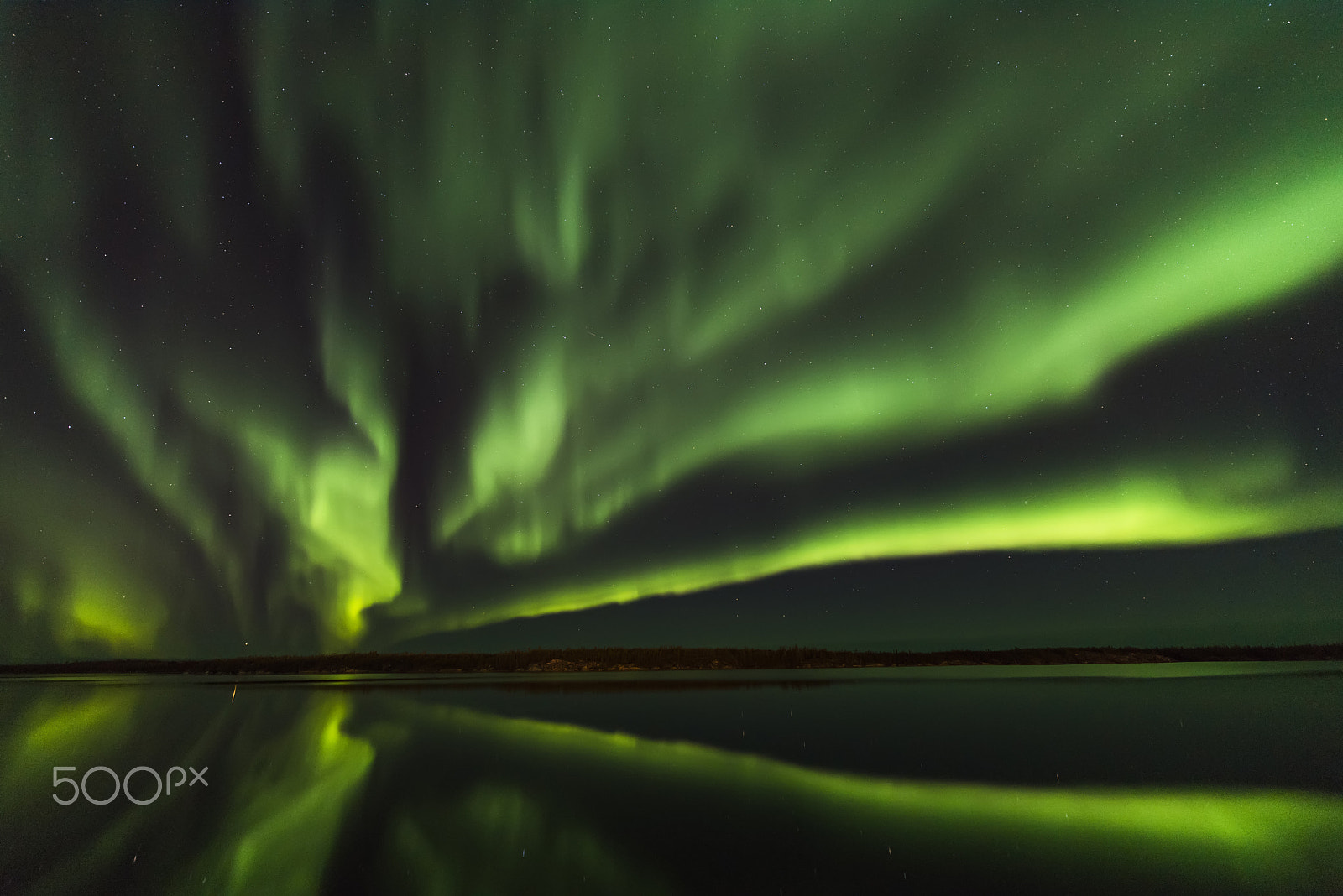 Nikon D810 sample photo. Fans of aurora photography