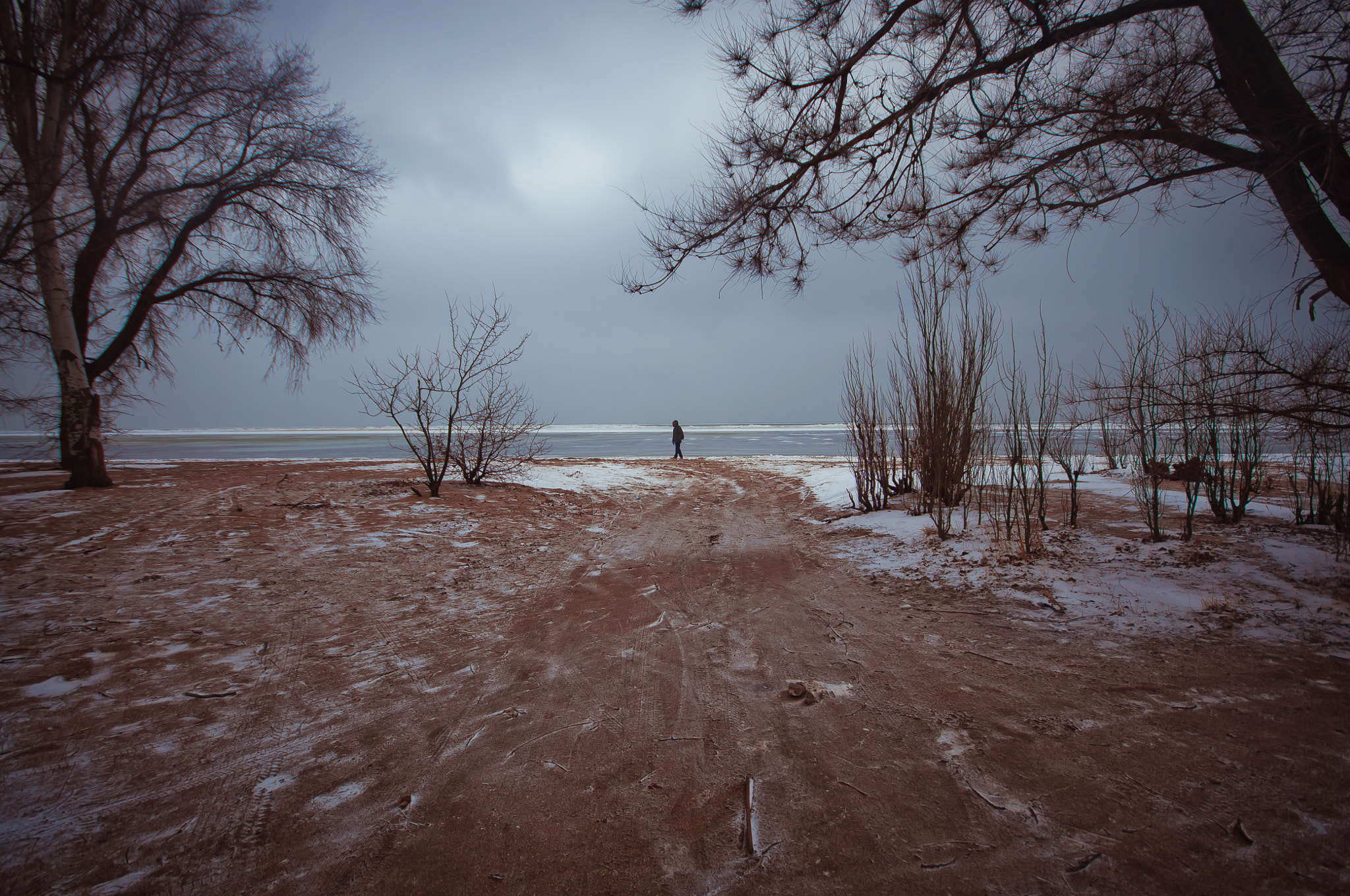 Sigma 10-20mm F4-5.6 EX DC HSM sample photo. Winter wolk photography