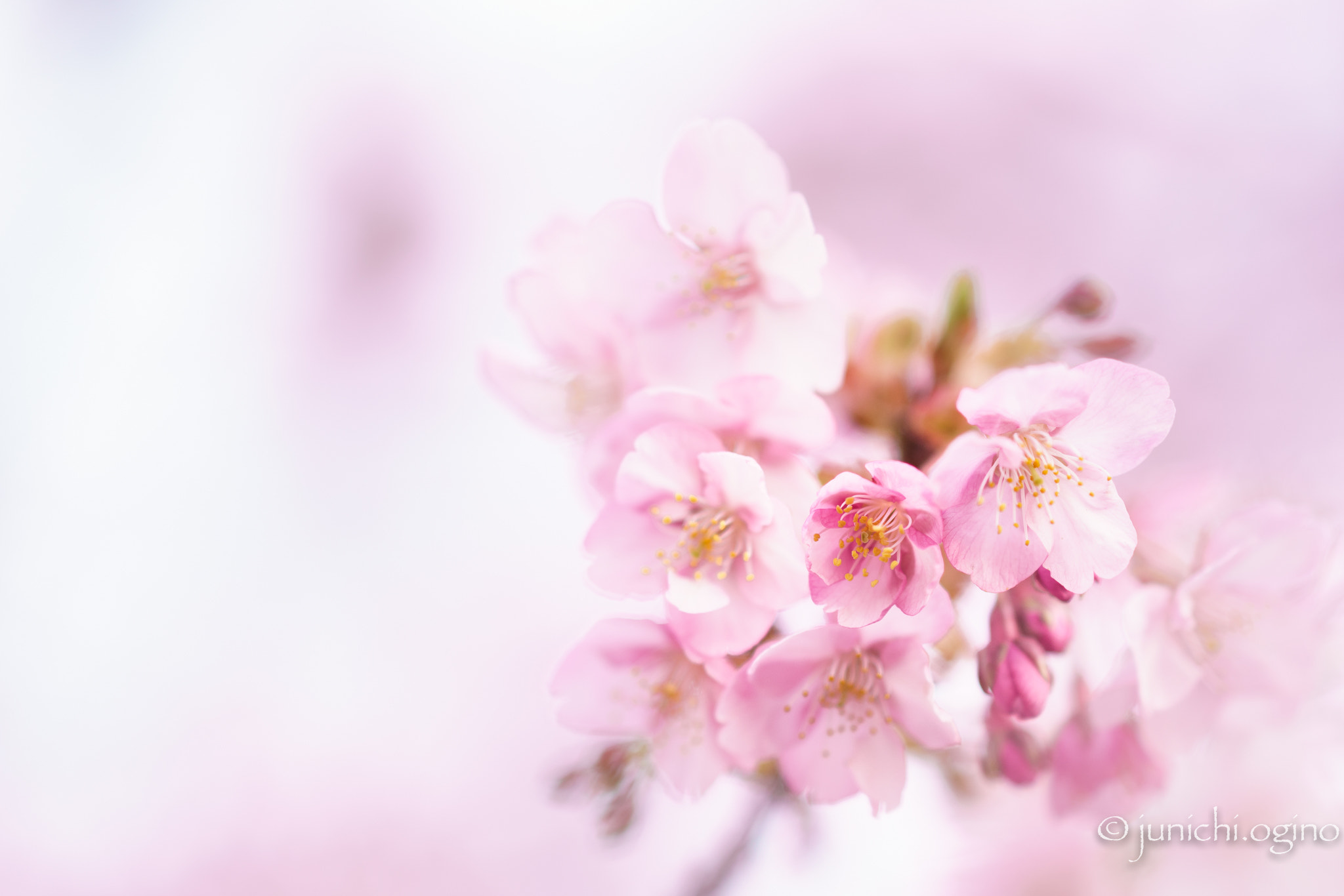 Sony Sonnar T* 135mm F1.8 ZA sample photo. Good encouter photography