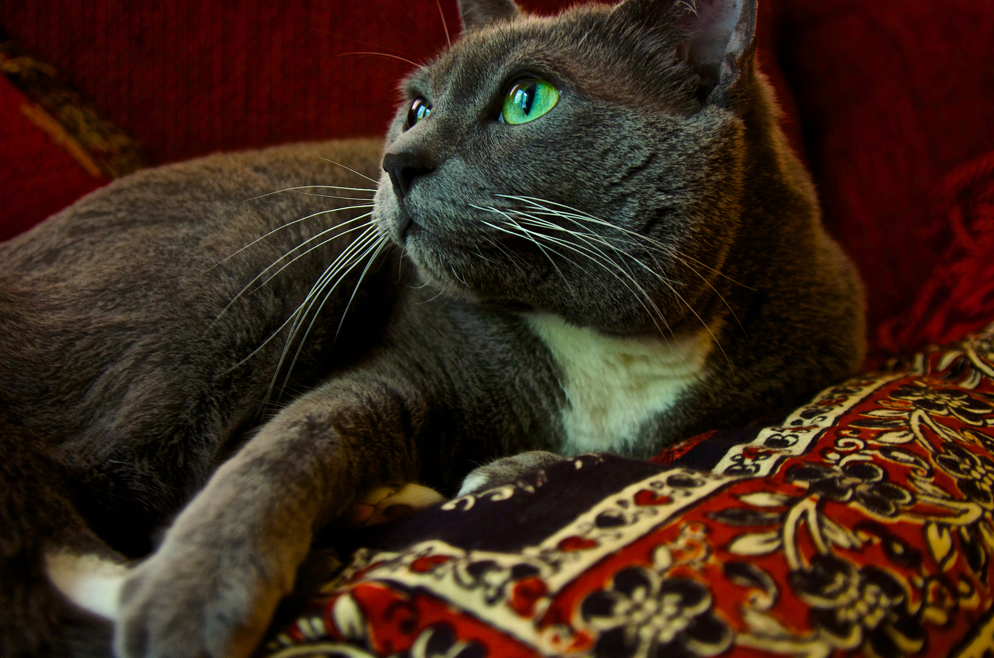 Pentax smc DA 16-45mm F4 ED AL sample photo. What !! photography