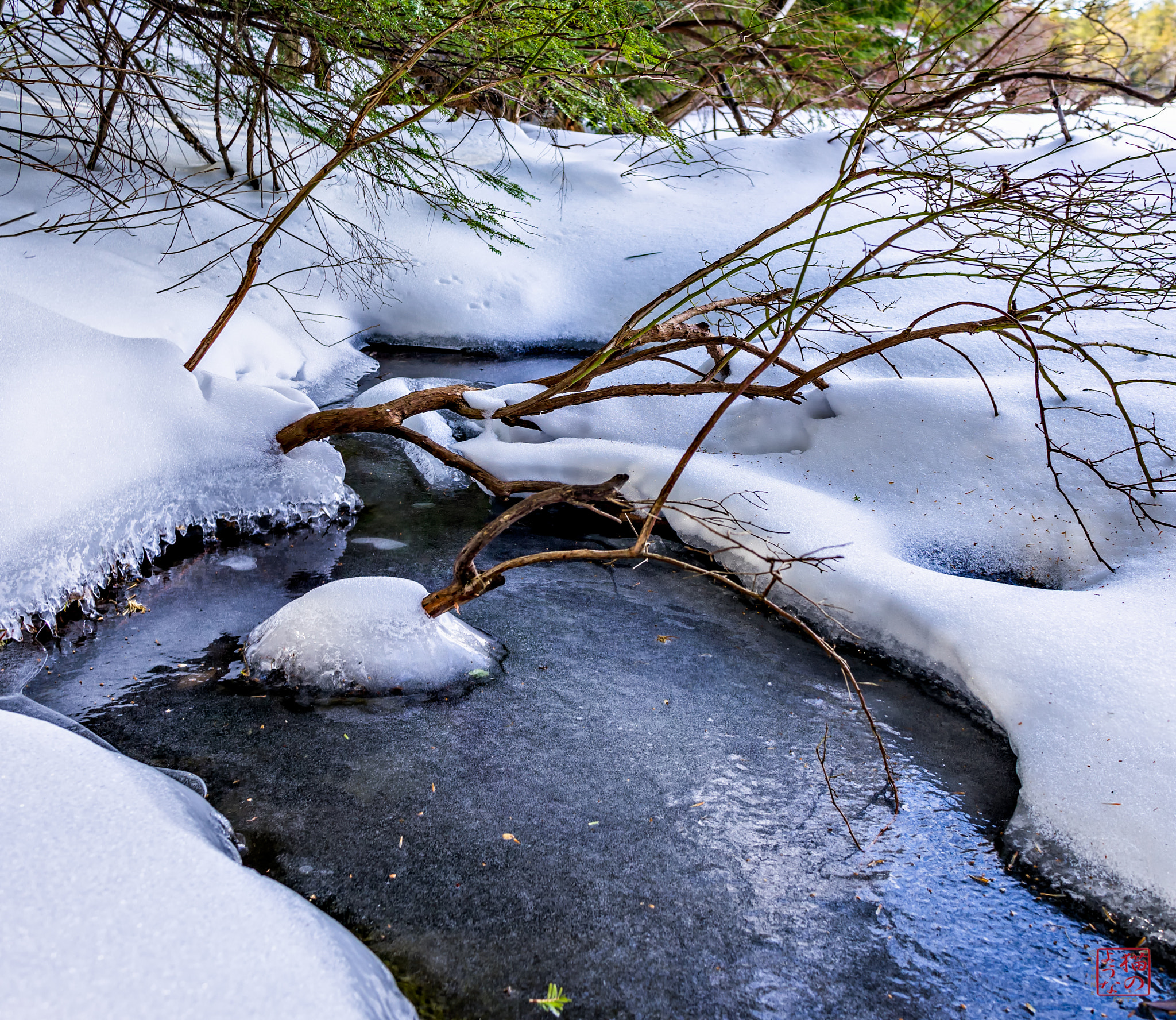 Sony a7 + Sony Sonnar T* E 24mm F1.8 ZA sample photo. Ready to run photography