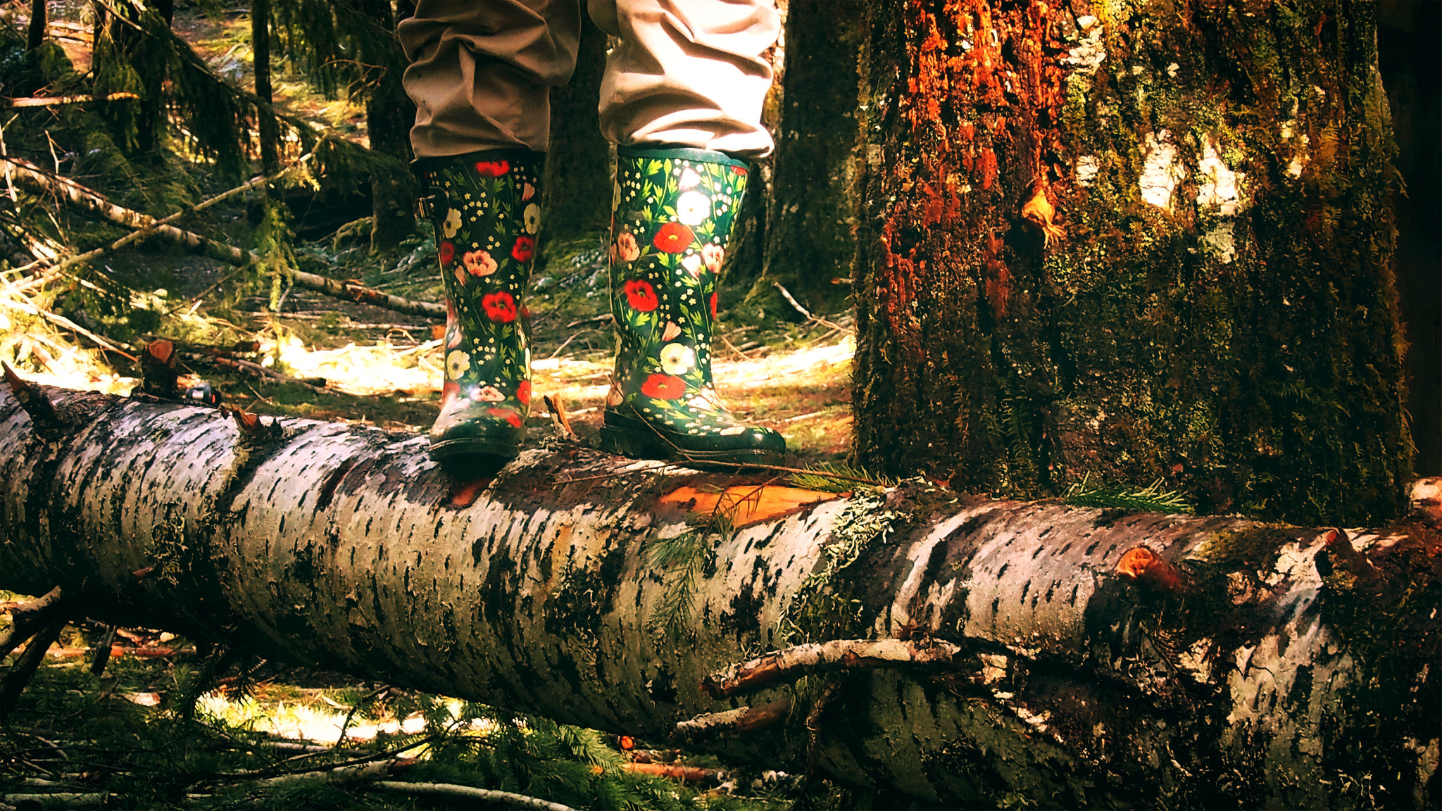 Olympus OM-D E-M5 sample photo. Hike in tillamook state forest oregon photography