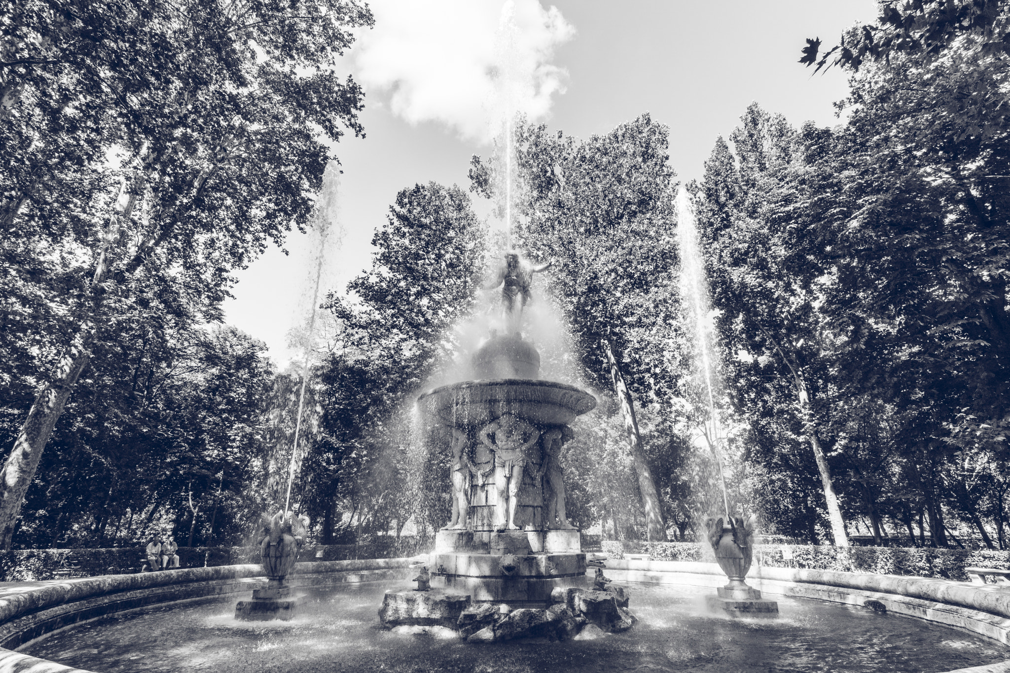 Narcissus Fountain