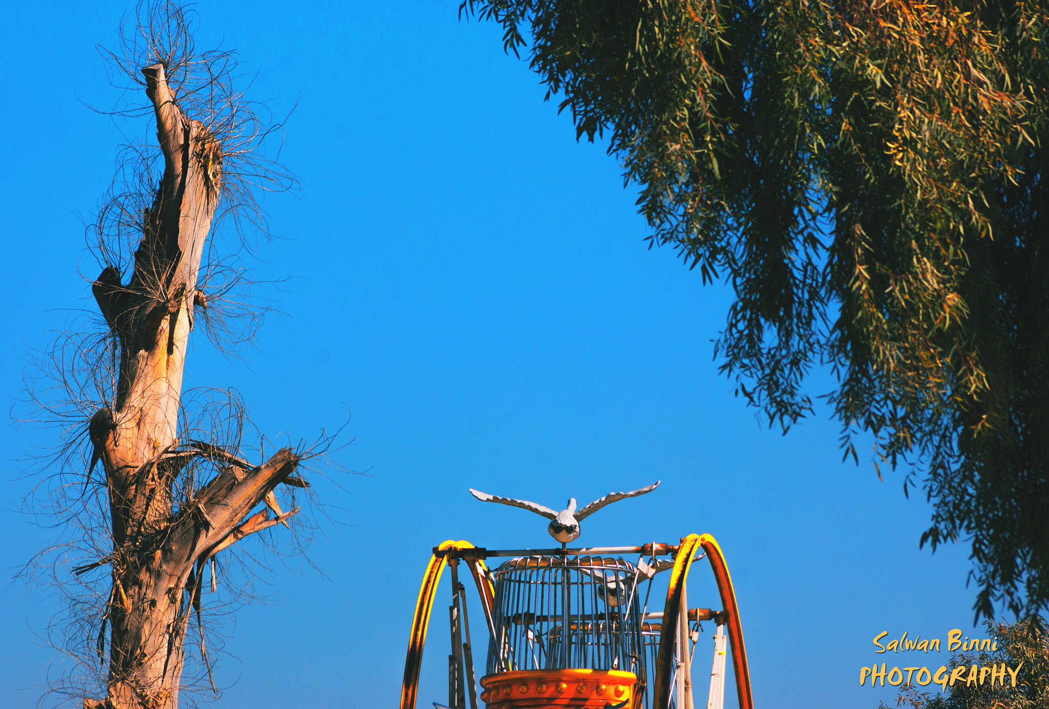 Sony 75-300mm F4.5-5.6 sample photo. Triocompo photography