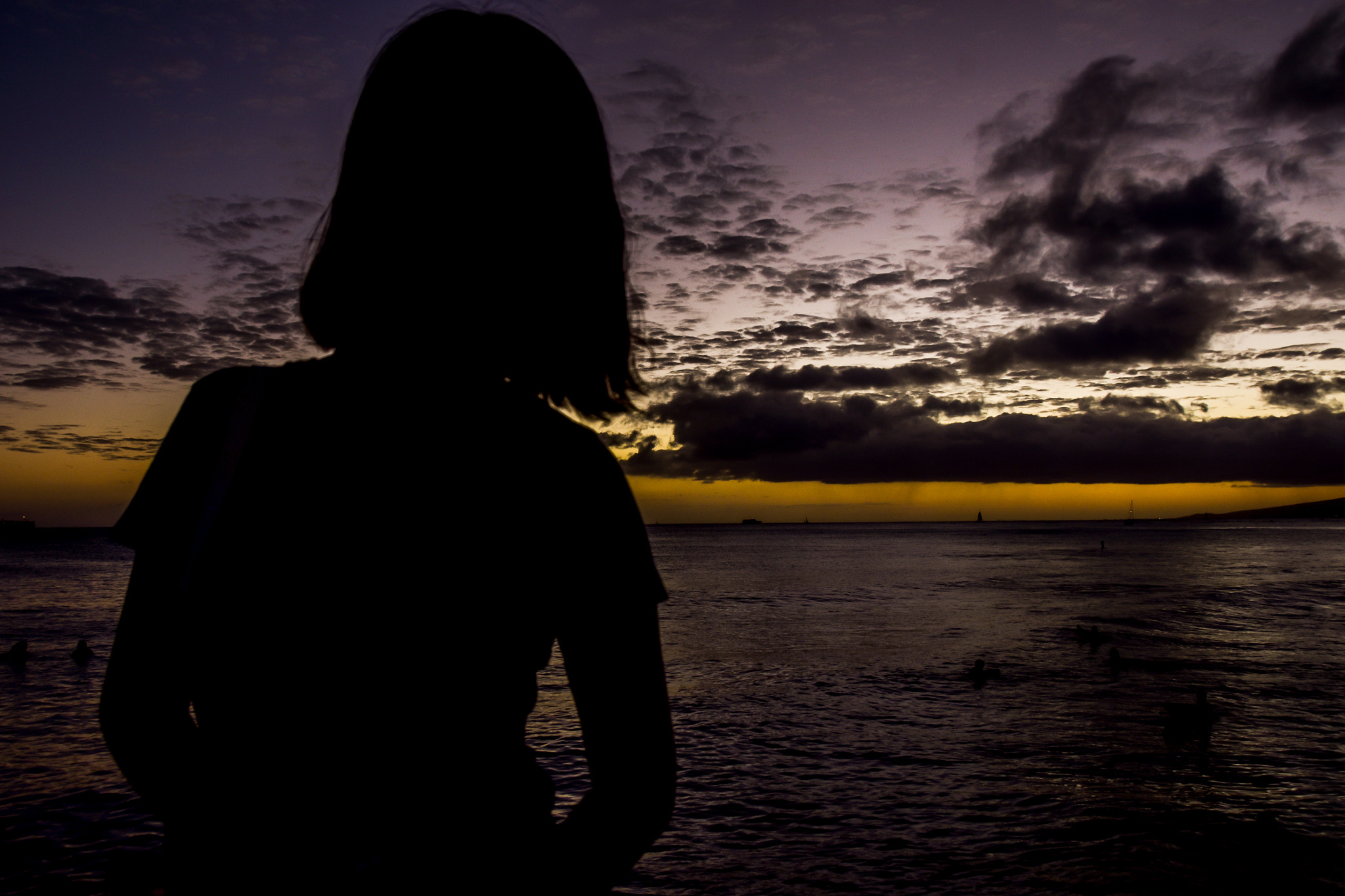 Sigma 18-250mm F3.5-6.3 DC Macro OS HSM sample photo. Silhouette photography