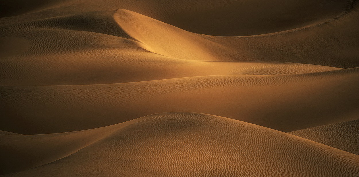 Nikon AF-S Nikkor 200-500mm F5.6E ED VR sample photo. Golden hills photography