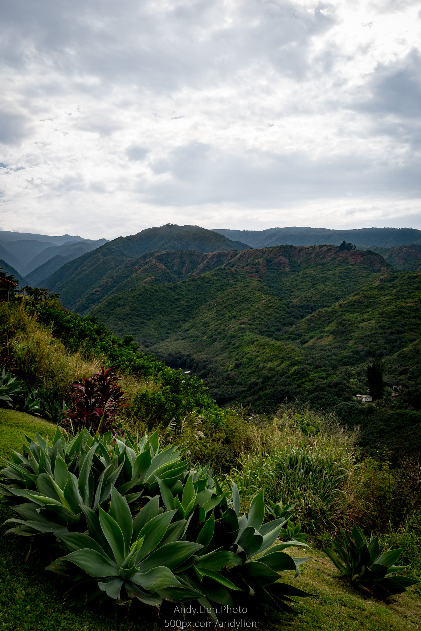 Sony a6500 sample photo. Hawaiian valley photography