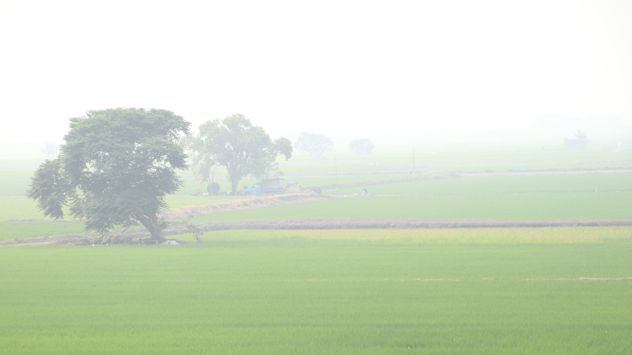 Canon EOS M5 sample photo. Fog photography