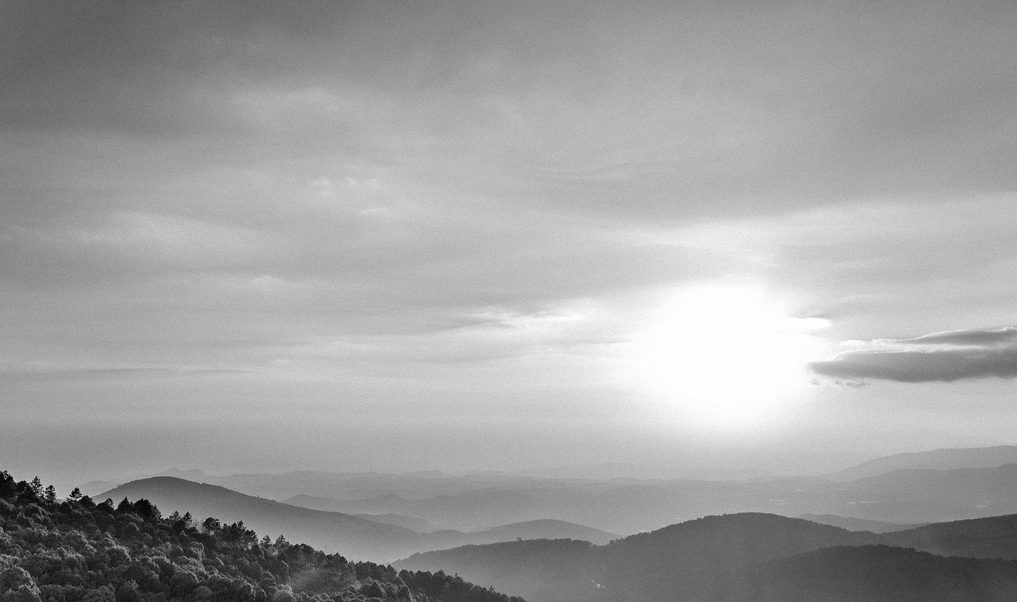 Fujifilm X-T1 + Fujifilm XF 23mm F1.4 R sample photo. Mono photography