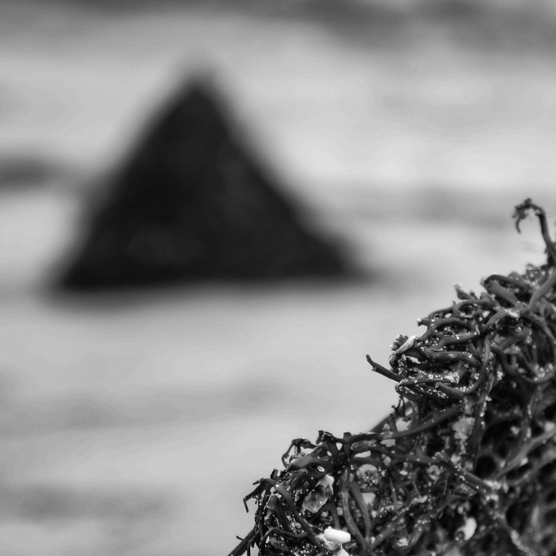 Sony Alpha NEX-7 + Sony E 18-55mm F3.5-5.6 OSS sample photo. Beach forms photography