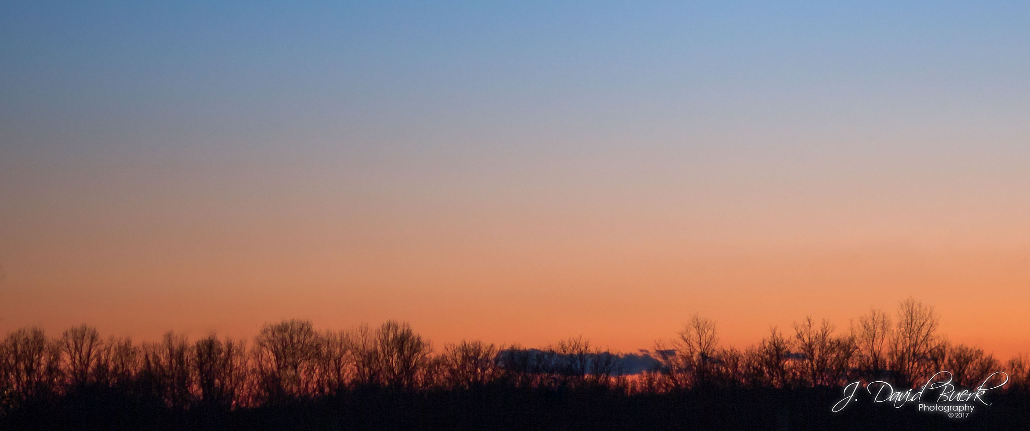 Canon EF 85mm F1.2L II USM sample photo. Fumbling towards ecstasy: winter of 2017 photography