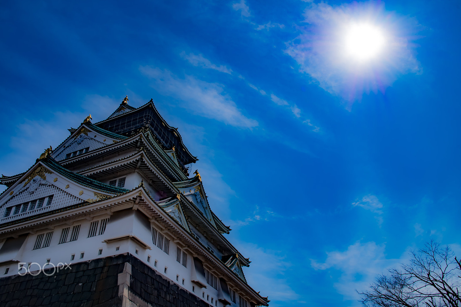 Pentax K-S2 sample photo. Osaka castle photography