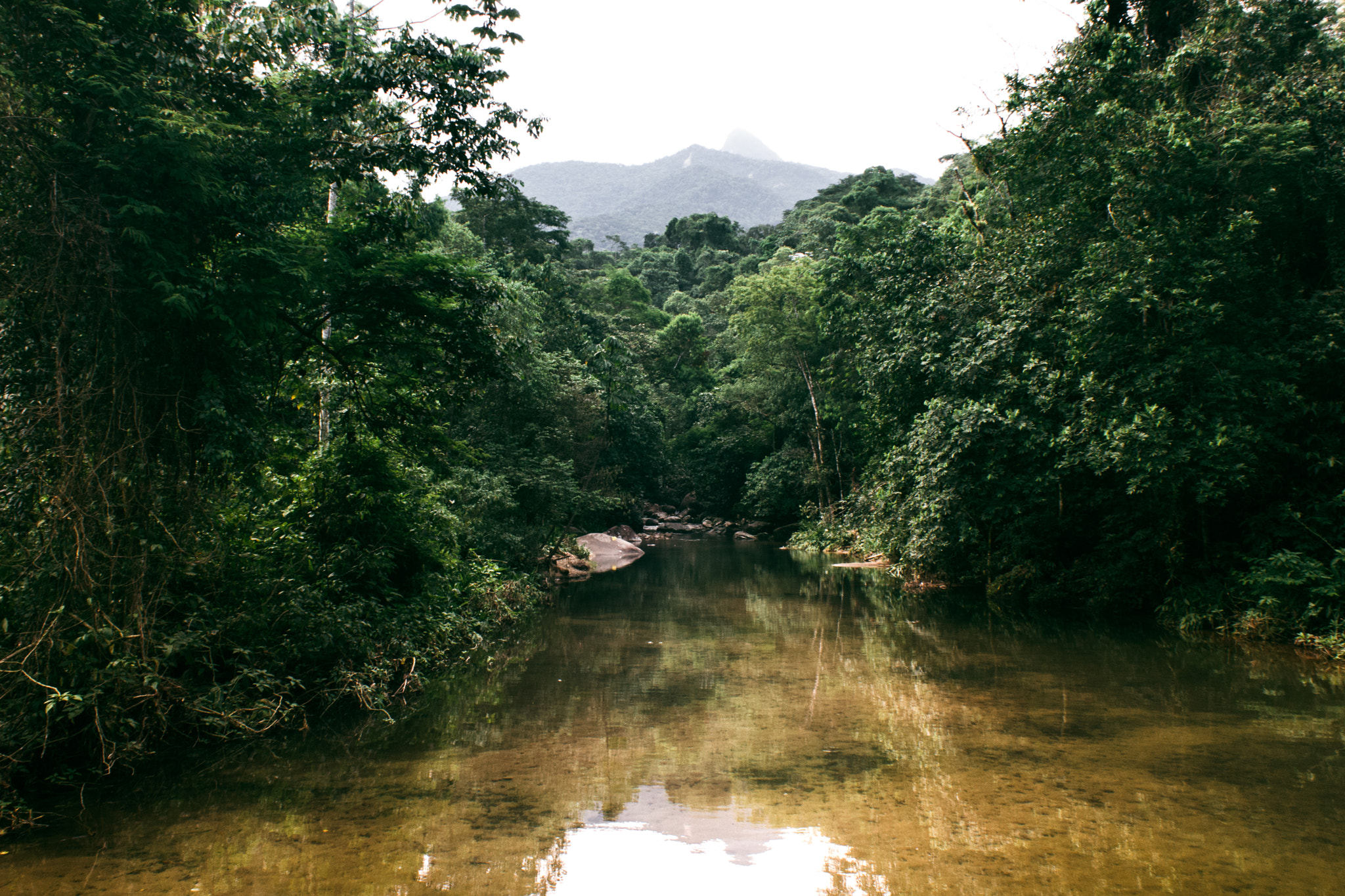 Canon EOS 550D (EOS Rebel T2i / EOS Kiss X4) sample photo. River into the wild photography