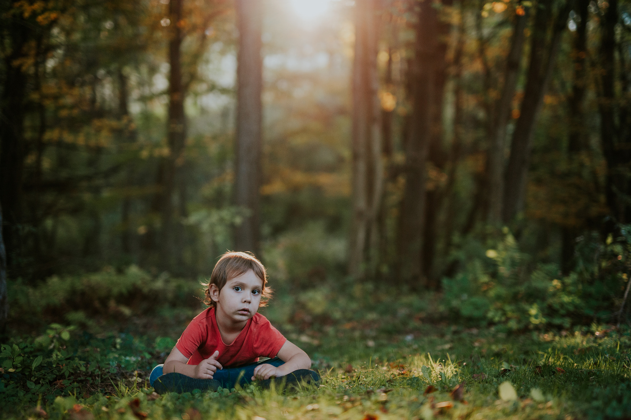 Sigma 50mm F1.4 DG HSM Art sample photo. Forest bug hunt adventure photography