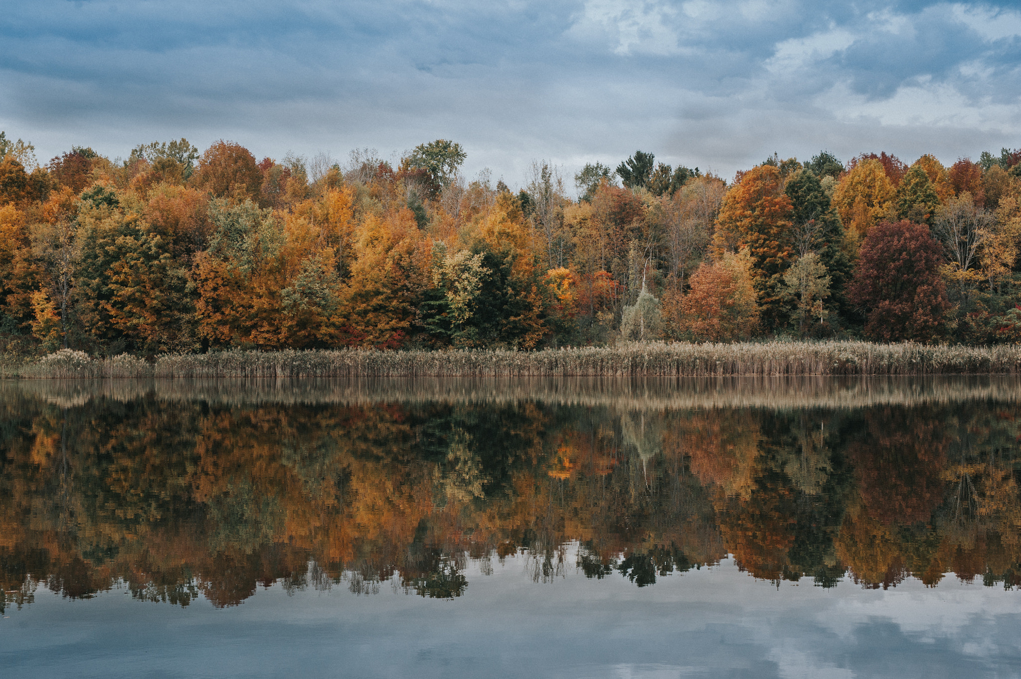 Sigma 50mm F1.4 DG HSM Art sample photo. Fall in vermont photography