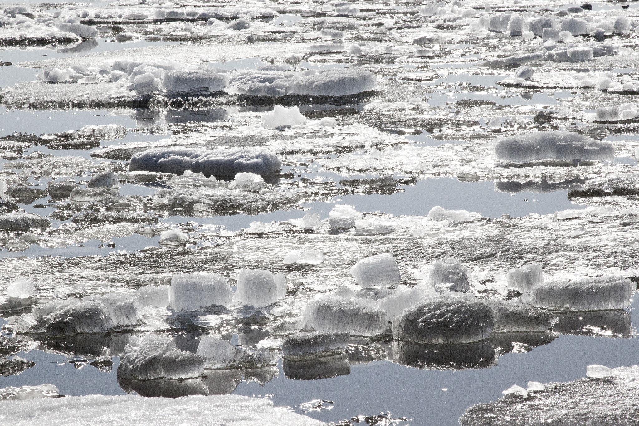 Canon EOS 500D (EOS Rebel T1i / EOS Kiss X3) sample photo. Melting ice photography