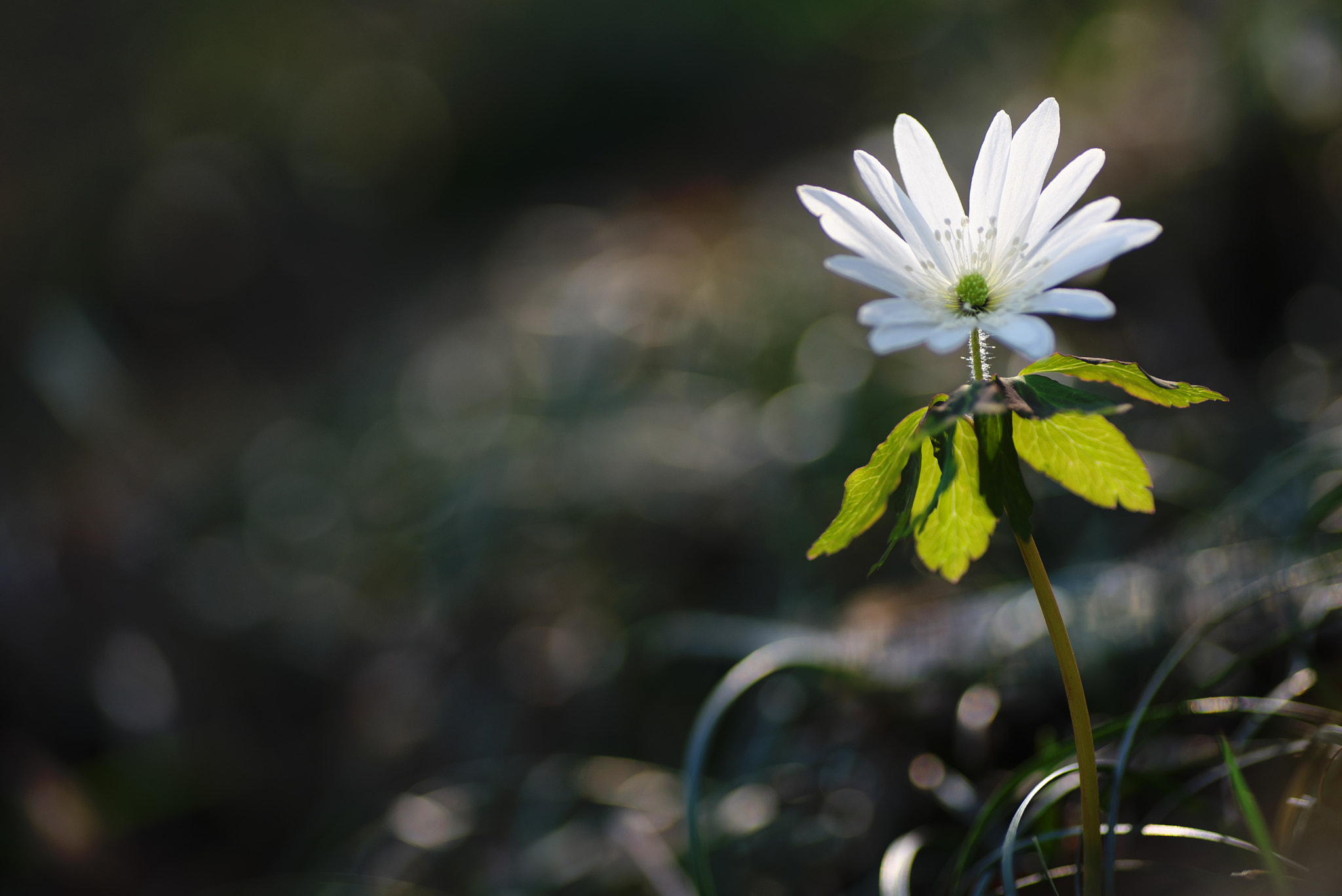 90mm F/2.8 D sample photo. Dsc photography