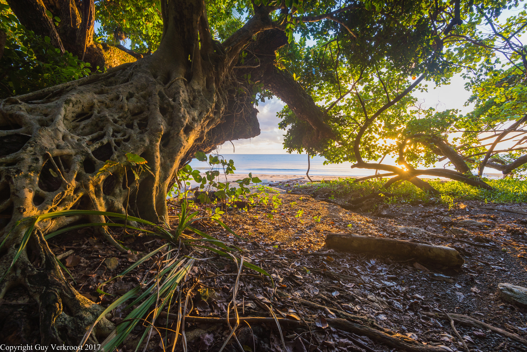 Nikon AF-S Nikkor 16-35mm F4G ED VR sample photo. Etty bay photography