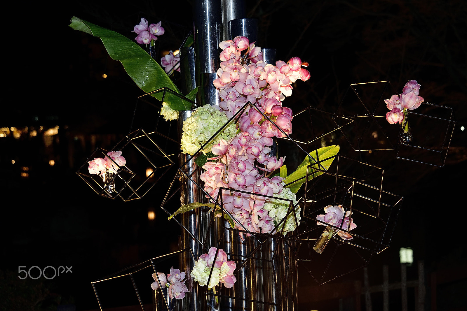 Nikon D800E sample photo. Flower arrangement～京都花灯路～ photography