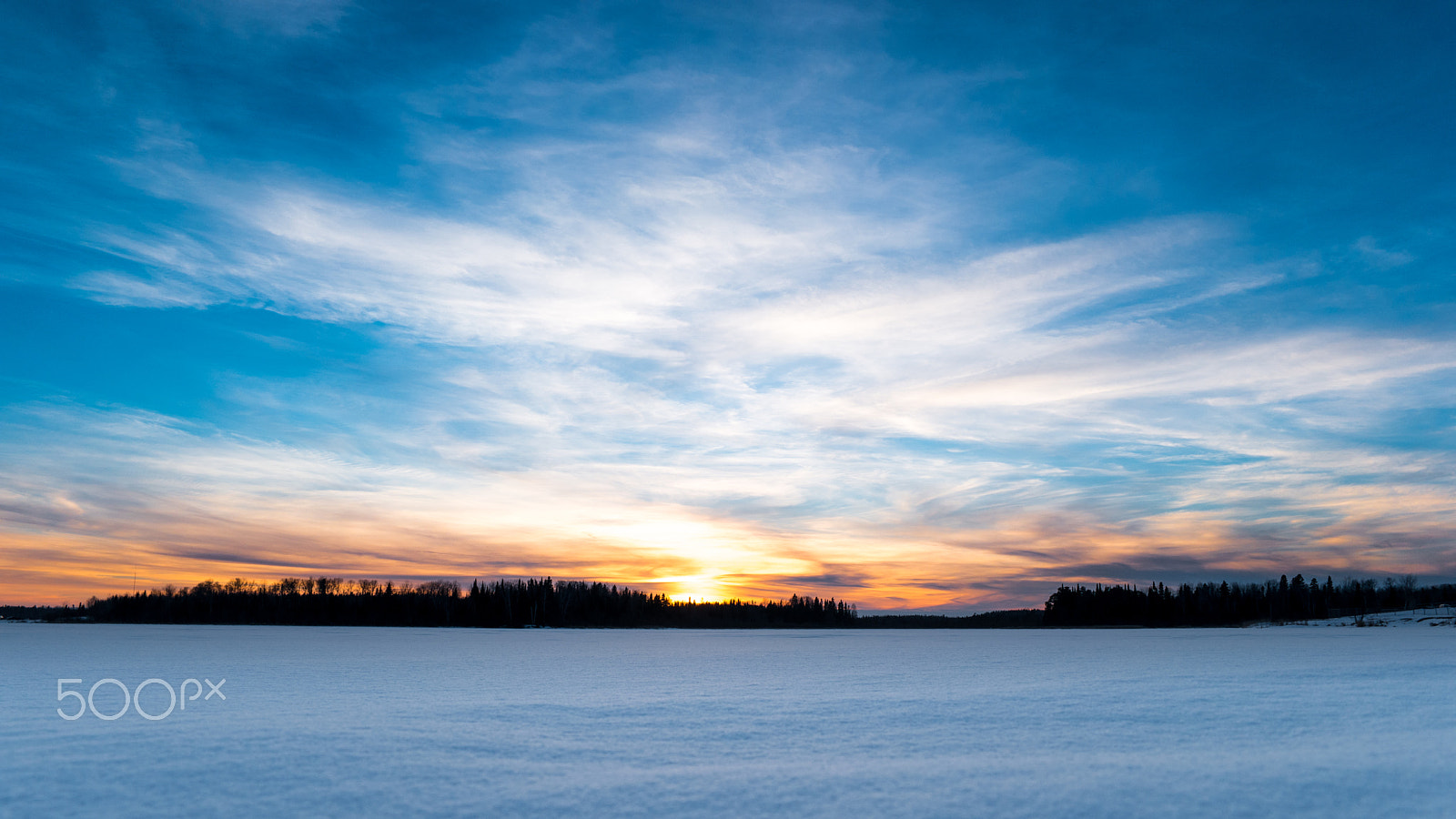 Samsung NX 16-50mm F2.0-2.8 S ED OIS sample photo. Spring is coming, i can feel it. photography