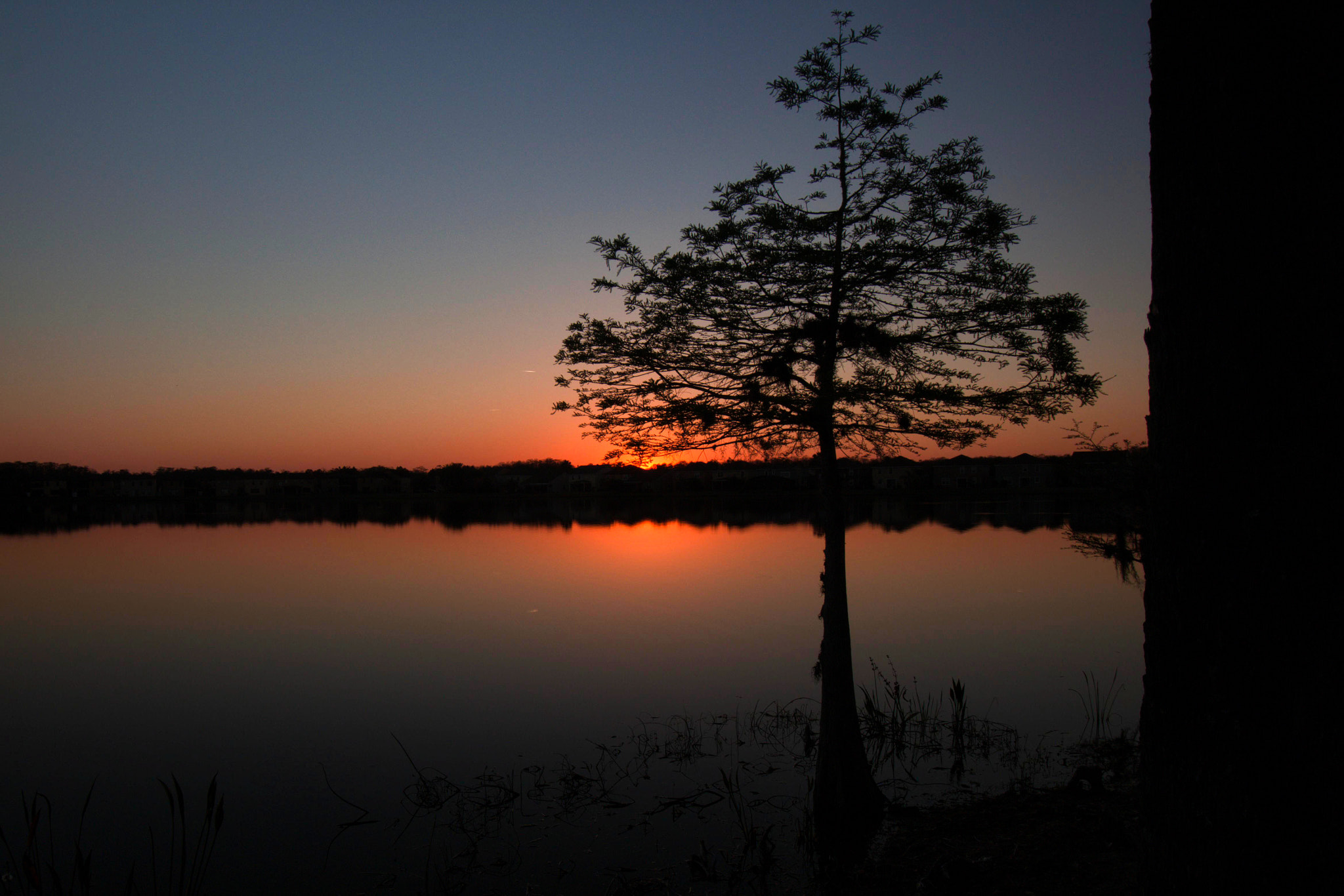 Canon EF-S 10-22mm F3.5-4.5 USM sample photo. Magical day photography