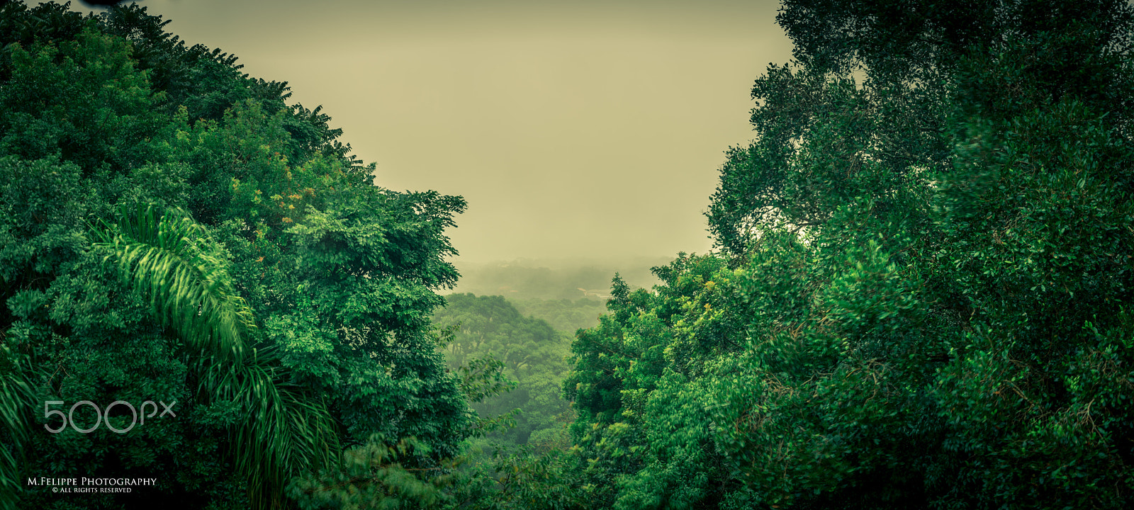 Sony a7S II sample photo. Beginning of the rain photography