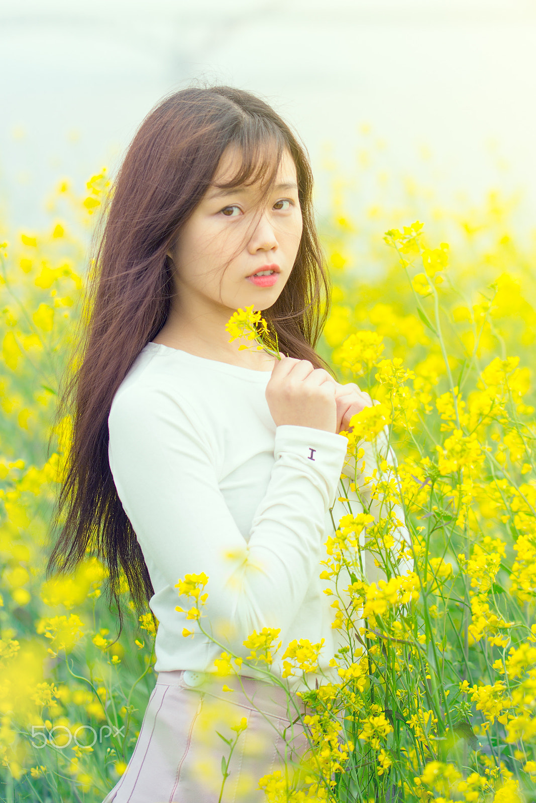 Canon EF 100mm F2.8L Macro IS USM sample photo. 月月 photography