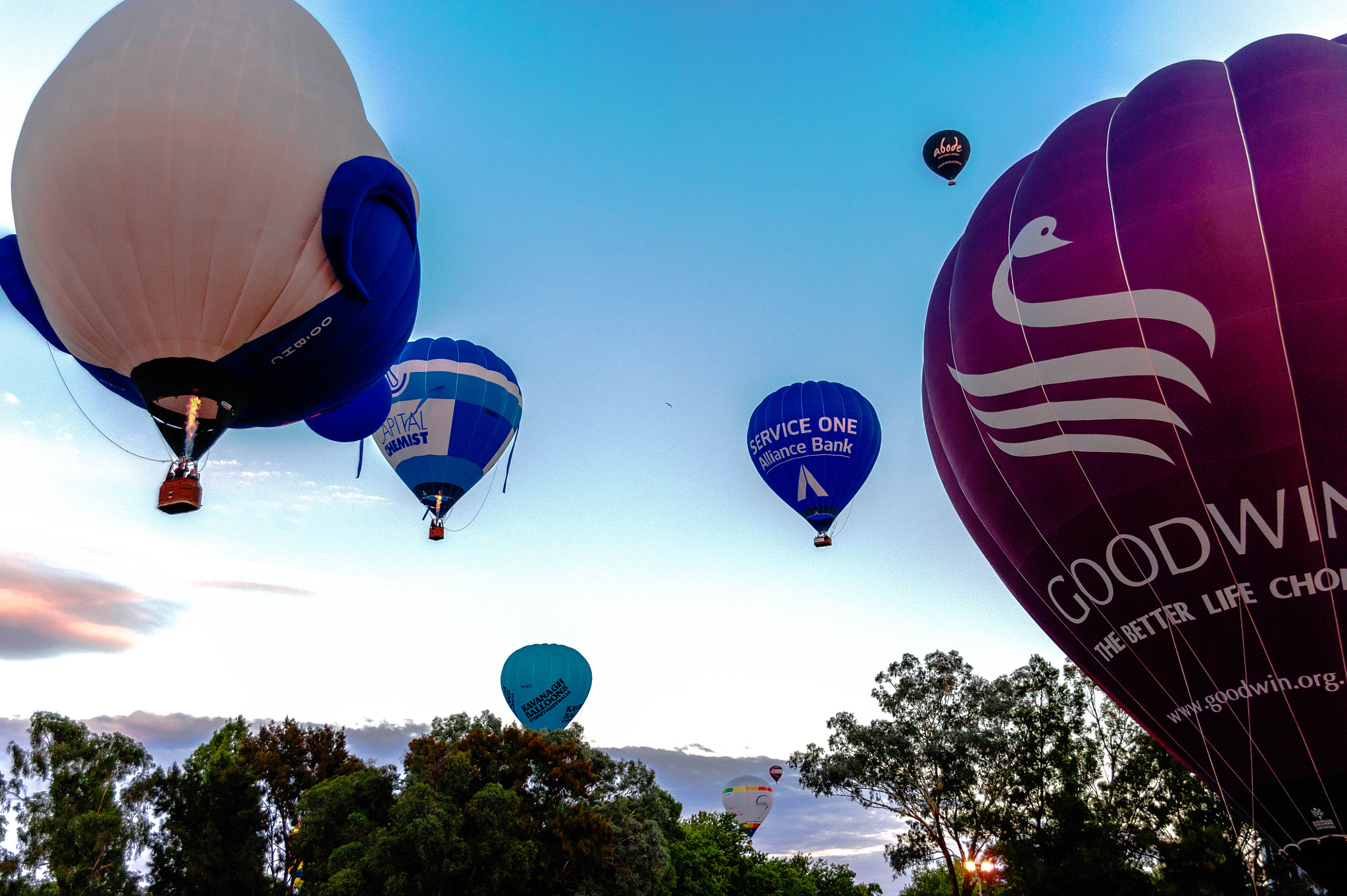 Sigma 24-70mm F2.8 EX DG HSM sample photo. Canberra balloon spectacular photography