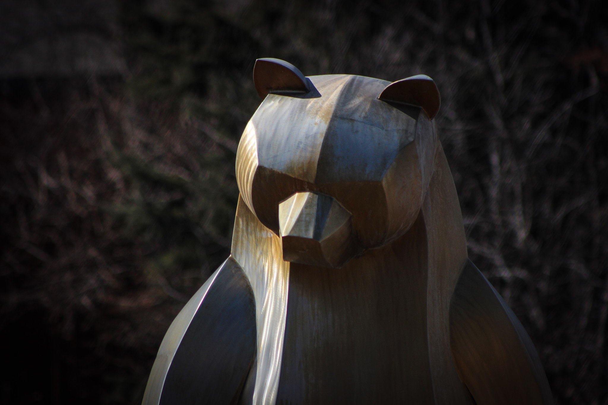 Canon EOS 600D (Rebel EOS T3i / EOS Kiss X5) + EF75-300mm f/4-5.6 sample photo. Minnesota zoo 2, 3.6.16 photography