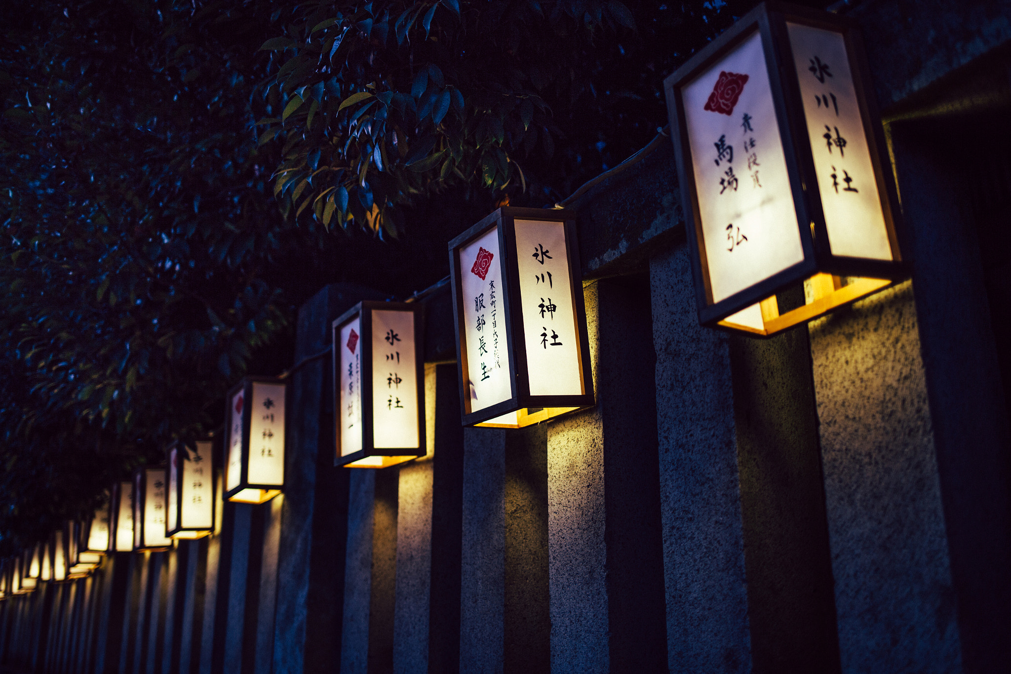 Canon EF 35mm F2 IS USM sample photo. 氷 川 神 社 photography