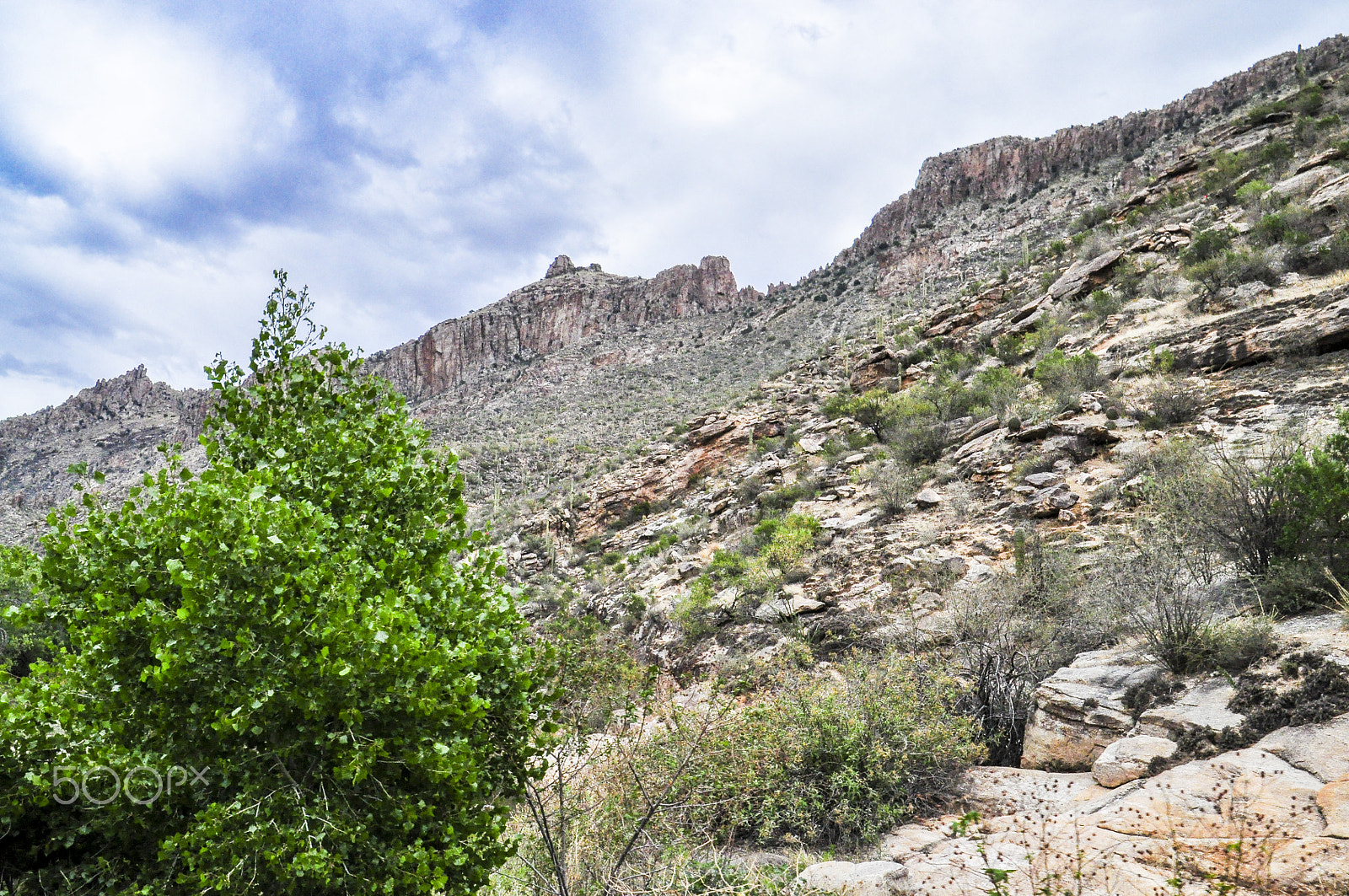 Nikon D5000 sample photo. Steep mountain side photography