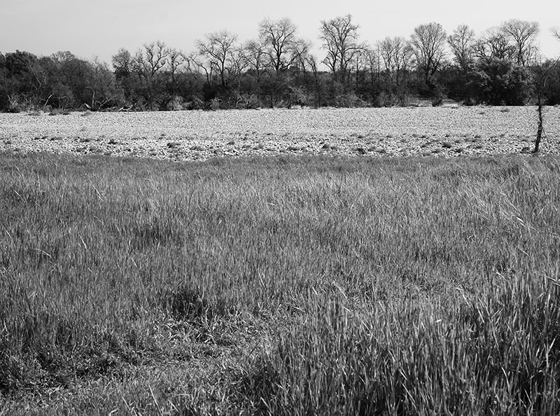 Fujifilm X-E1 + Fujifilm XF 35mm F1.4 R sample photo. Riverlayer photography