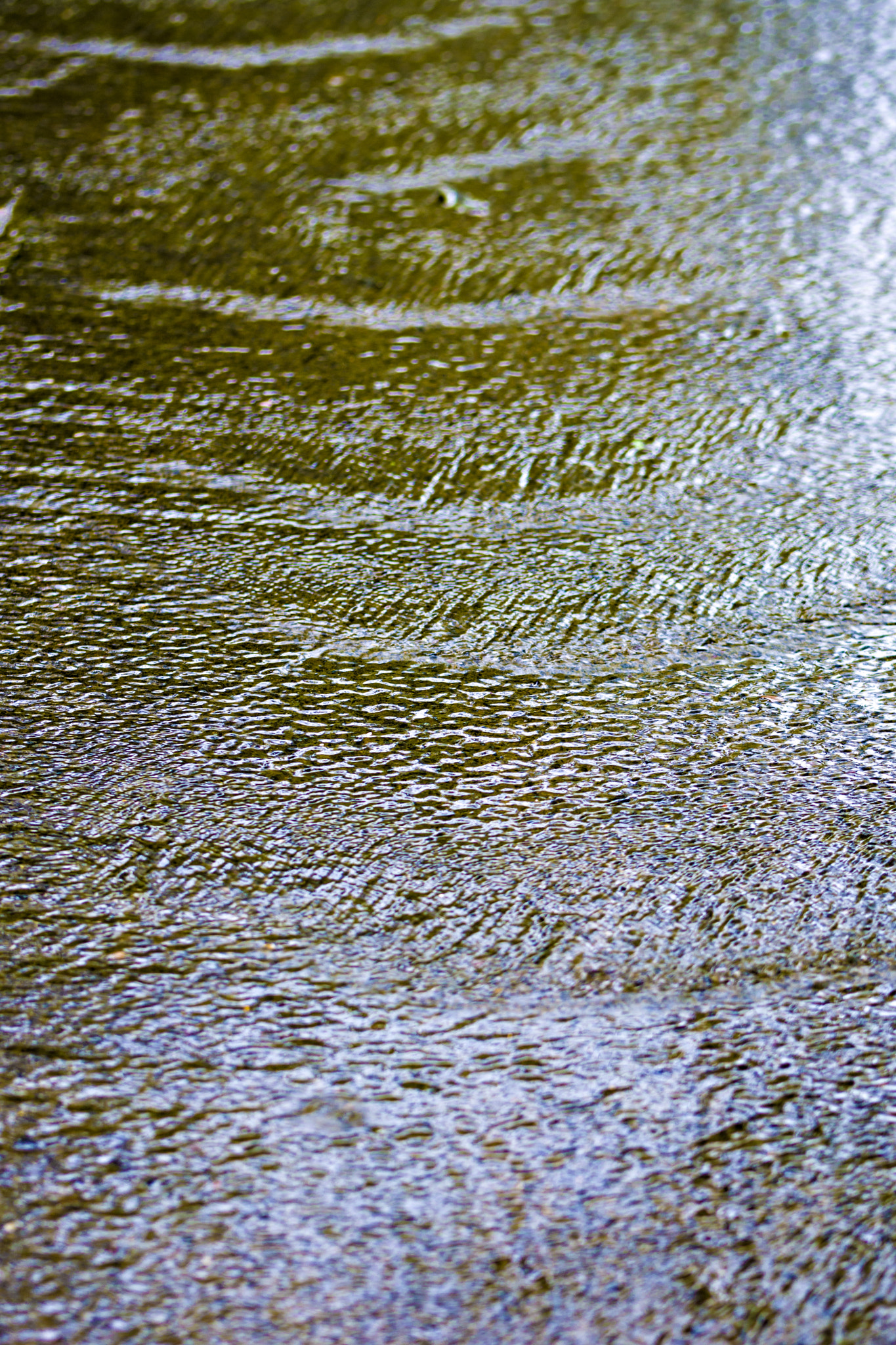 Nikon D7200 sample photo. Raindrops photography