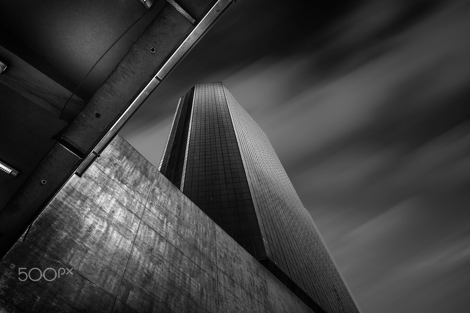 Sigma 24-70mm F2.8 EX DG HSM sample photo. Emergence photography