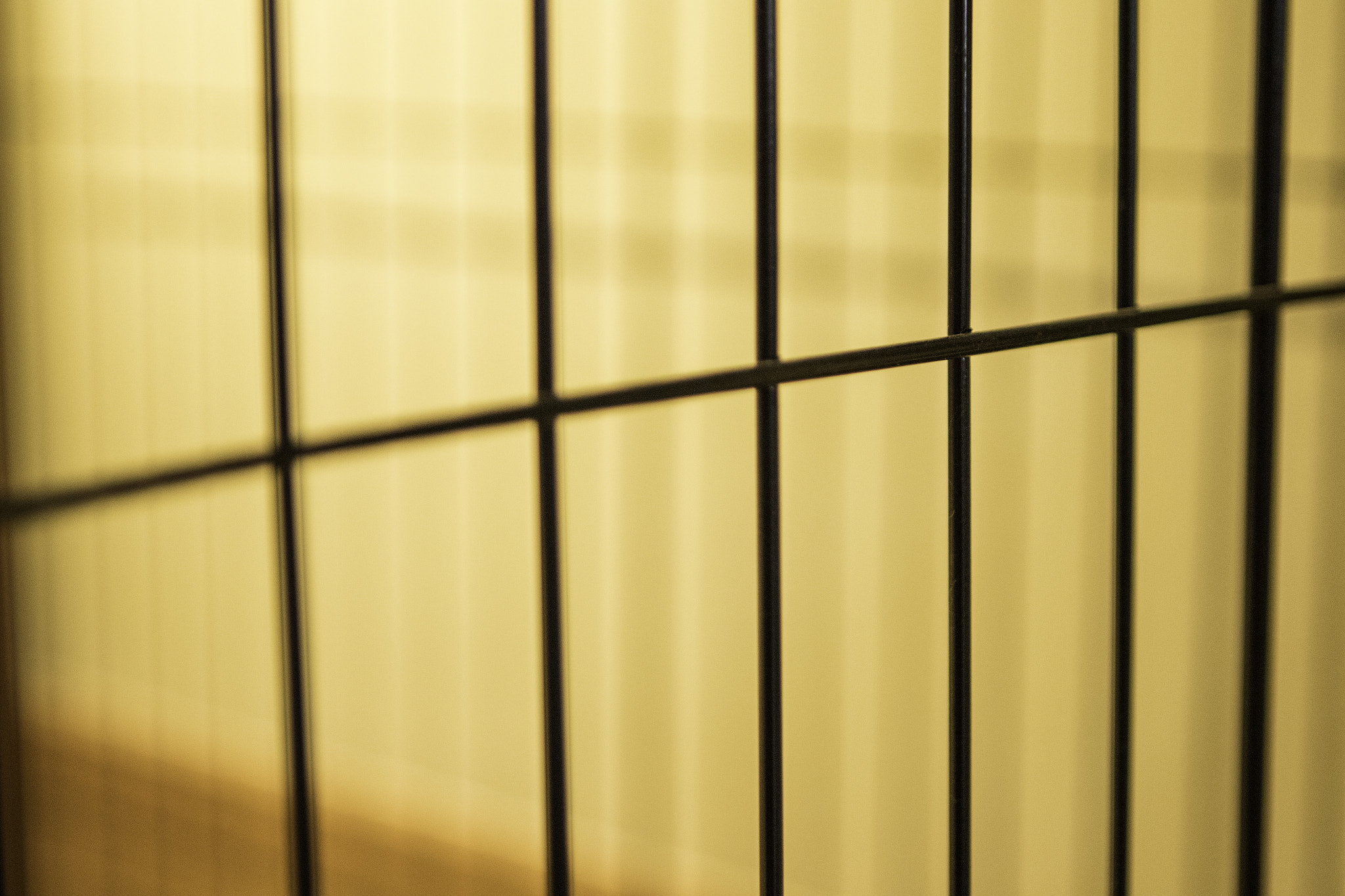 Canon EF 24-70mm F2.8L USM sample photo. Mg photography