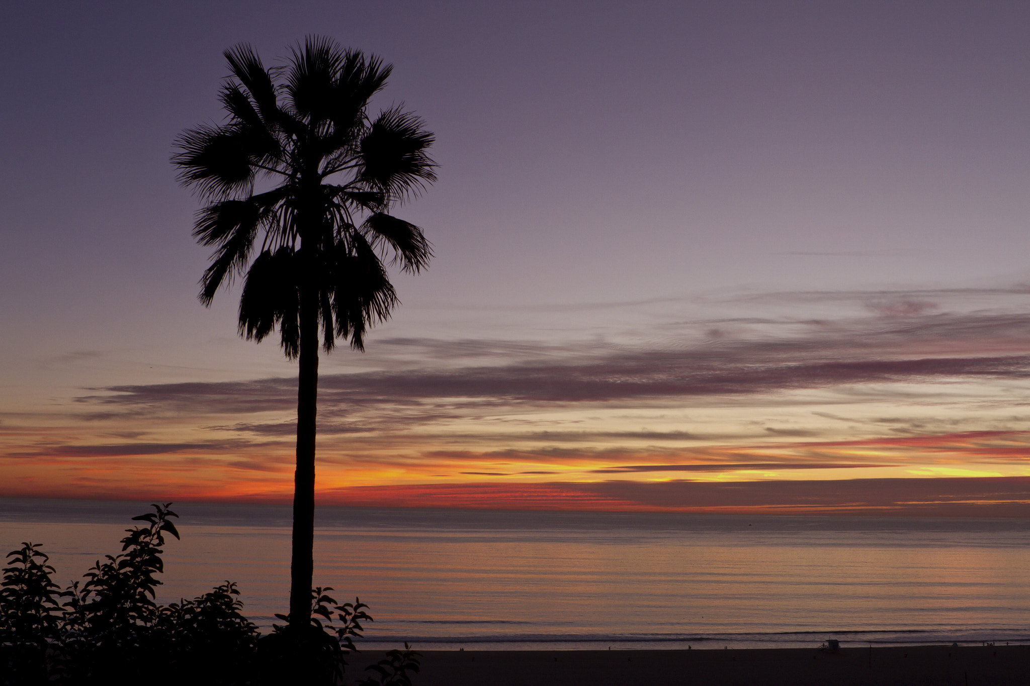 Canon EOS 7D + Canon EF 24-70mm F2.8L USM sample photo. Santa monica palm photography