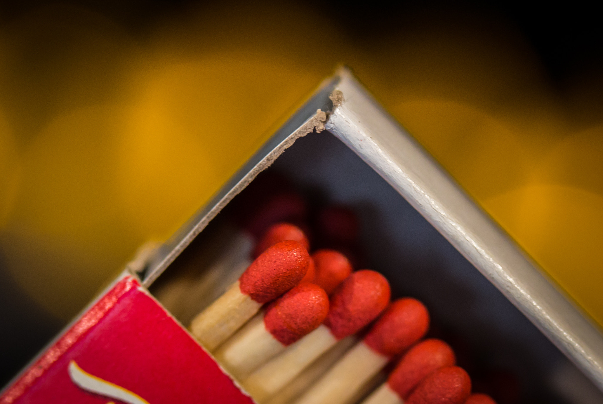 Canon EF-S 60mm F2.8 Macro USM sample photo. I'm the firestarter photography