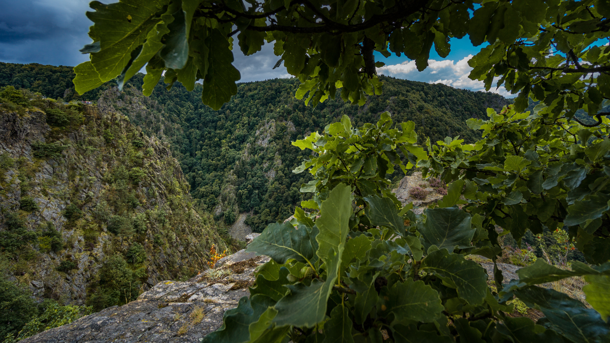 Sony a6000 + Sony E 10-18mm F4 OSS sample photo. Germany | harz 2016 photography