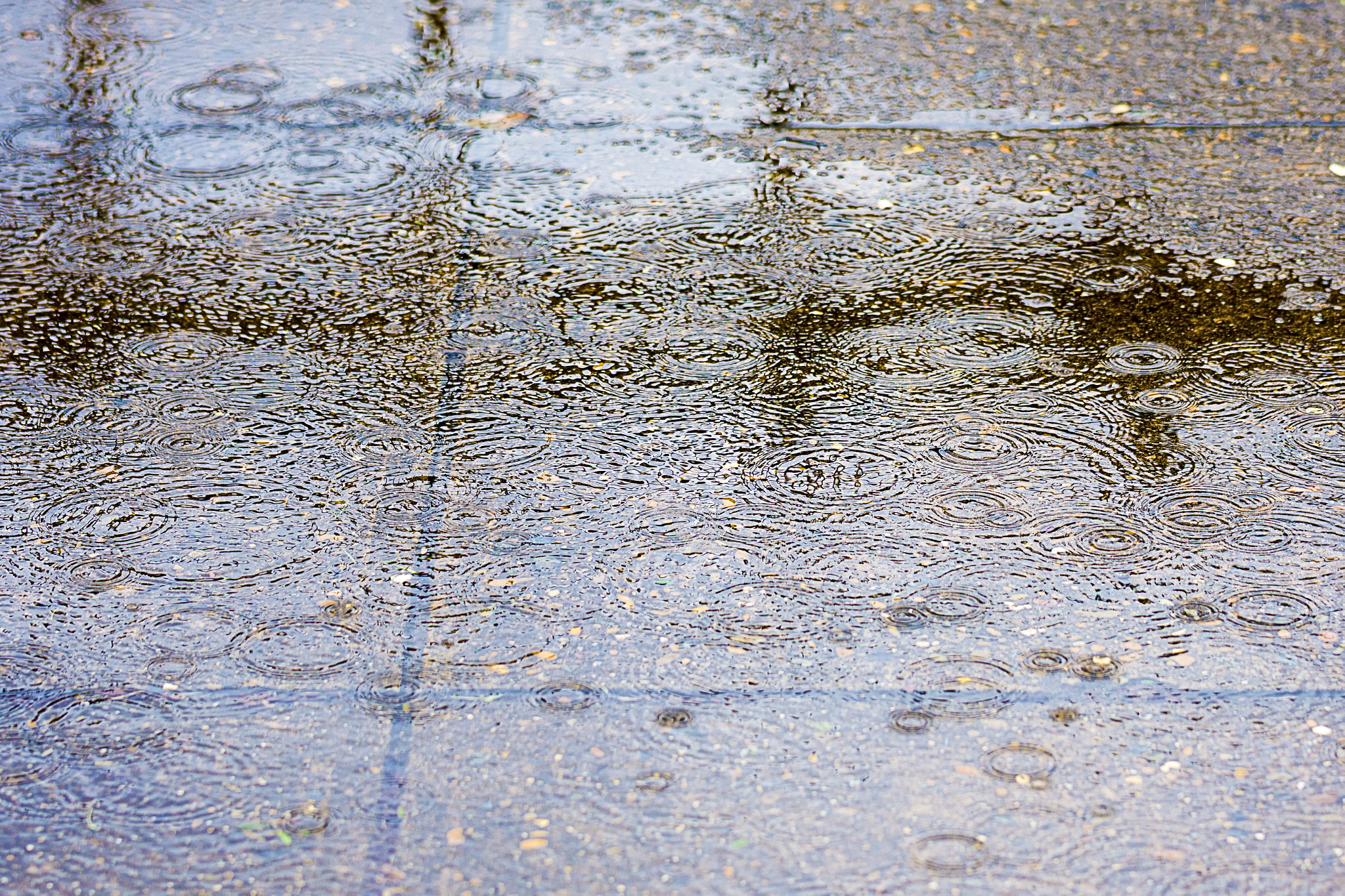 Nikon D7200 sample photo. Rain reflections photography