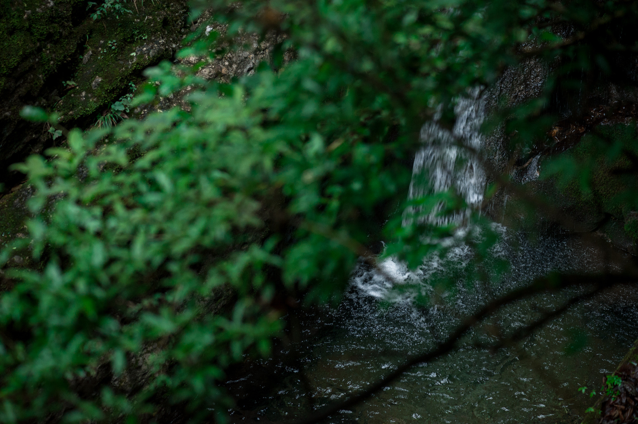 Nikon AF-S Micro-Nikkor 105mm F2.8G IF-ED VR sample photo. 青城山 photography