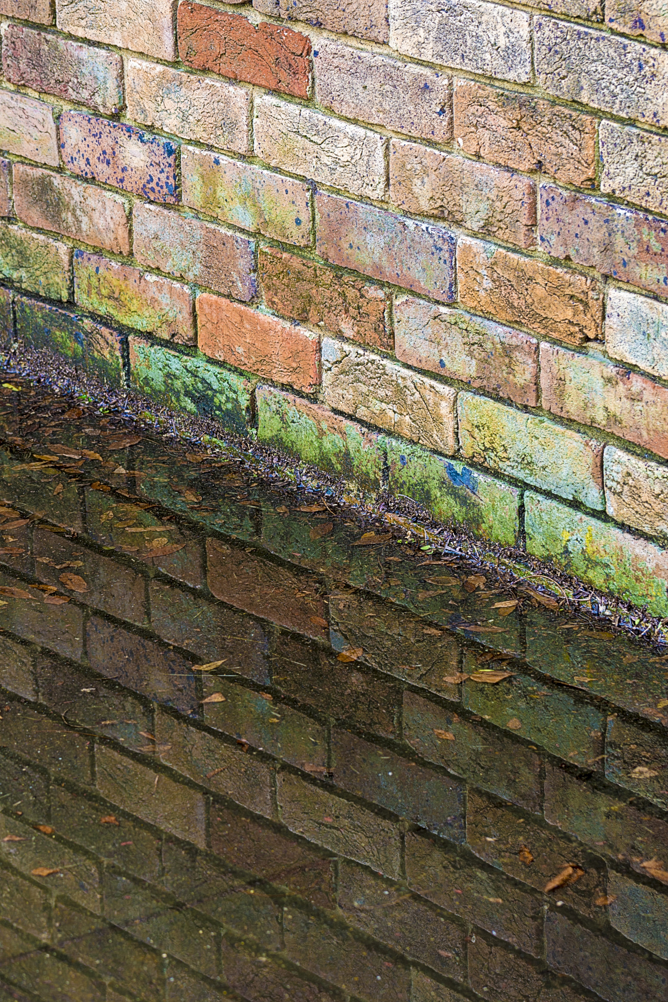 Nikon D7200 sample photo. Mirror image photography