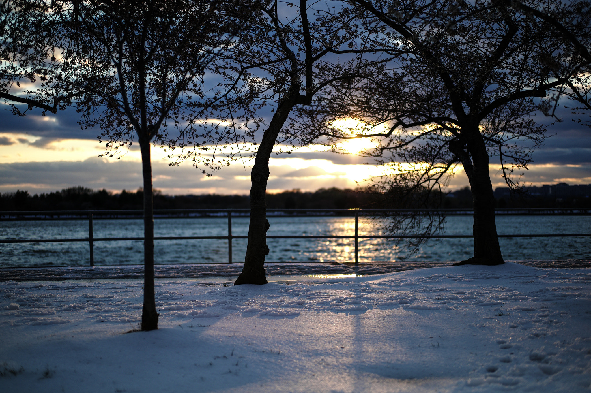 Leica M9 + Leica Summilux-M 50mm F1.4 ASPH sample photo. Winter fade photography