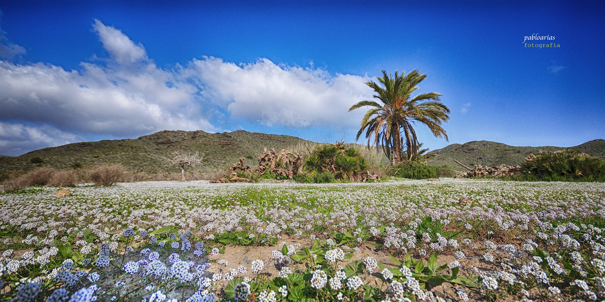Sigma 10-20mm F4-5.6 EX DC HSM sample photo. No pisar las flores photography
