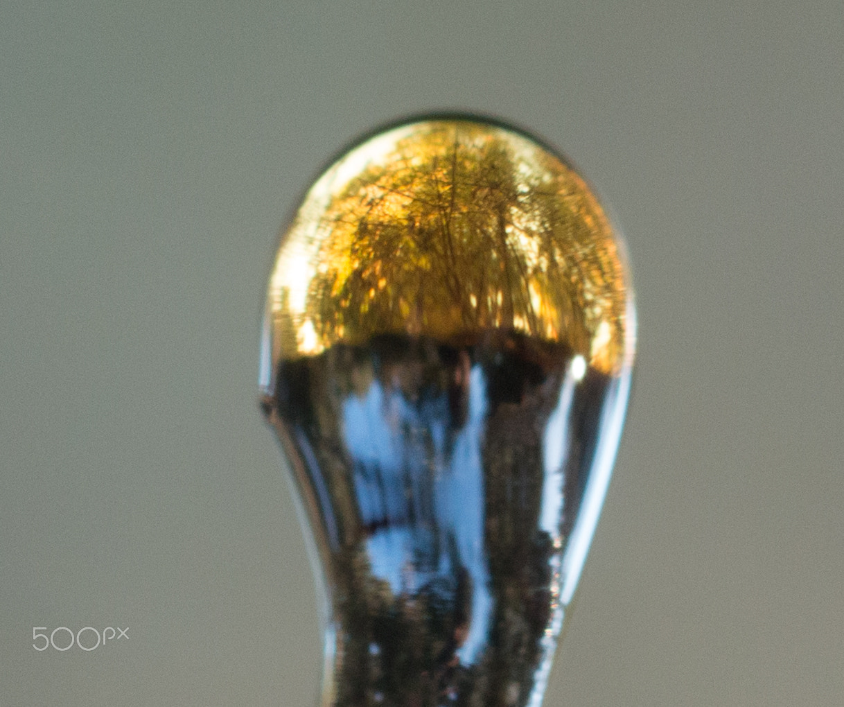 Canon EF 100mm F2.8 Macro USM sample photo. World though the wother photography